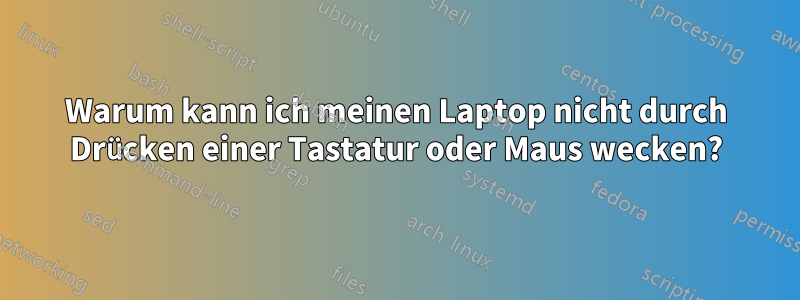 Warum kann ich meinen Laptop nicht durch Drücken einer Tastatur oder Maus wecken?