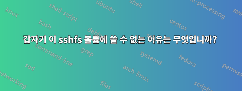 갑자기 이 sshfs 볼륨에 쓸 수 없는 이유는 무엇입니까?