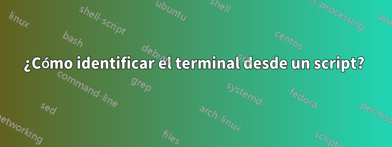 ¿Cómo identificar el terminal desde un script?