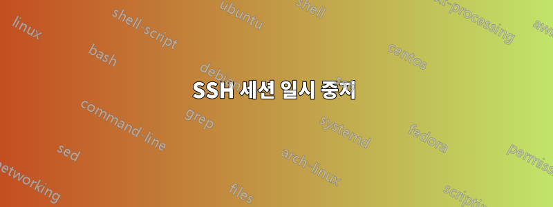 SSH 세션 일시 중지