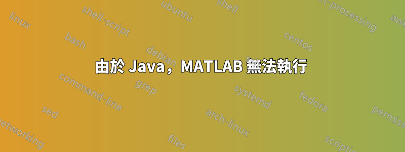 由於 Java，MATLAB 無法執行