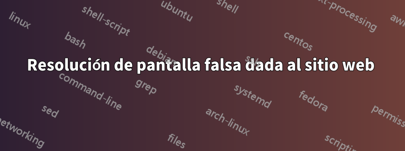 Resolución de pantalla falsa dada al sitio web