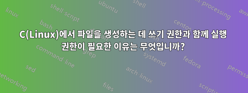 C(Linux)에서 파일을 생성하는 데 쓰기 권한과 함께 실행 권한이 필요한 이유는 무엇입니까?