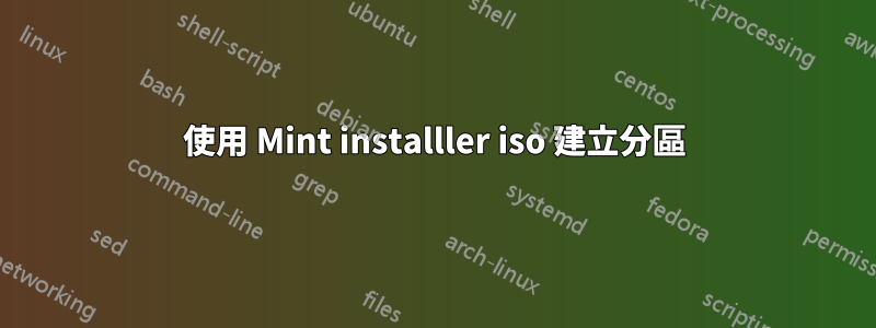 使用 Mint installler iso 建立分區