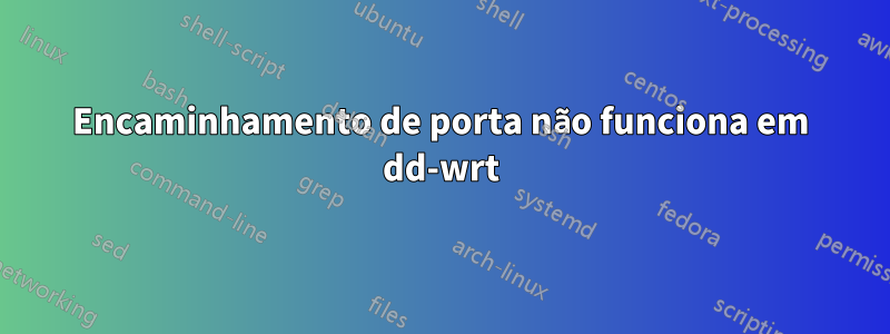 Encaminhamento de porta não funciona em dd-wrt