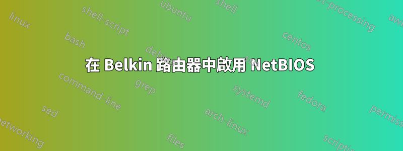 在 Belkin 路由器中啟用 NetBIOS