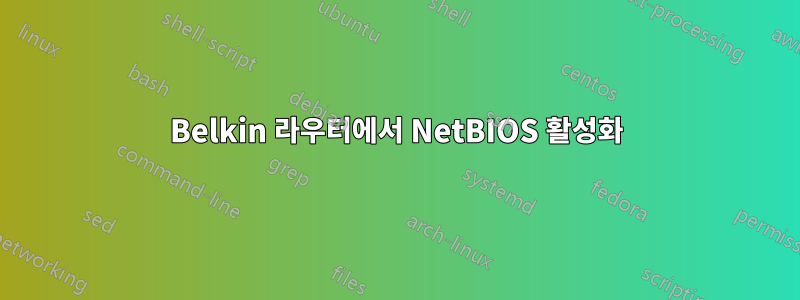 Belkin 라우터에서 NetBIOS 활성화