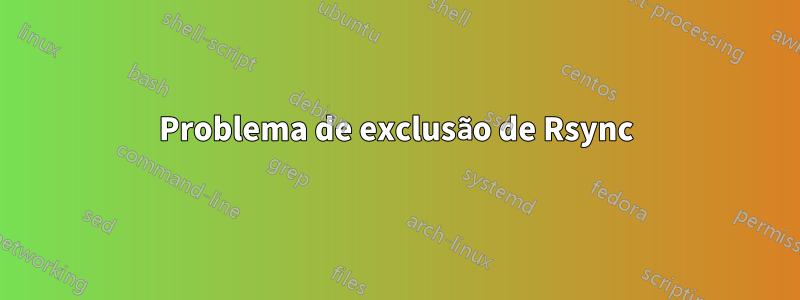 Problema de exclusão de Rsync