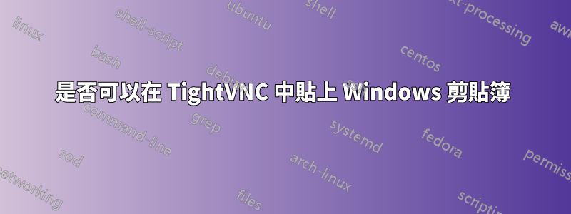 是否可以在 TightVNC 中貼上 Windows 剪貼簿