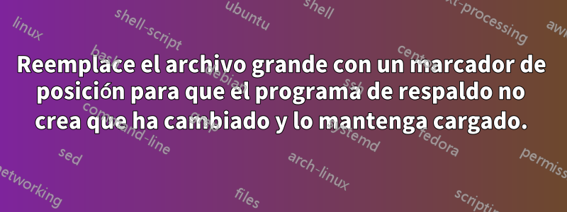 Reemplace el archivo grande con un marcador de posición para que el programa de respaldo no crea que ha cambiado y lo mantenga cargado.