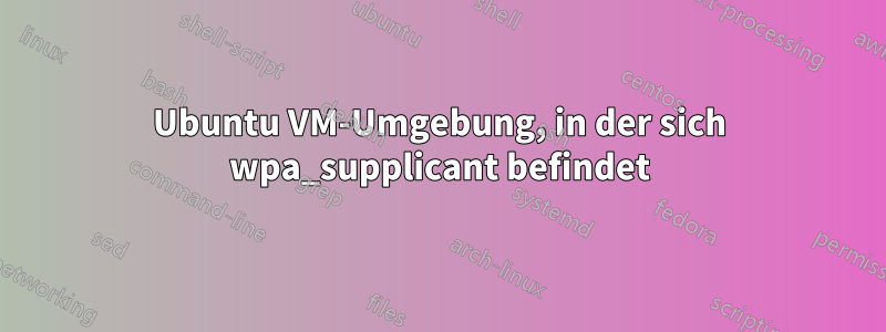 Ubuntu VM-Umgebung, in der sich wpa_supplicant befindet