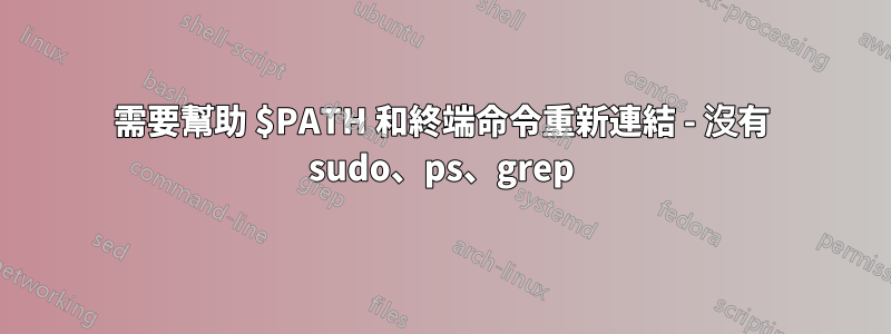 需要幫助 $PATH 和終端命令重新連結 - 沒有 sudo、ps、grep