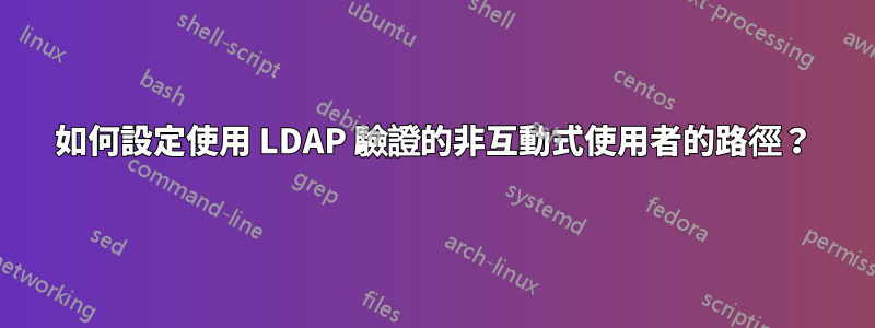 如何設定使用 LDAP 驗證的非互動式使用者的路徑？