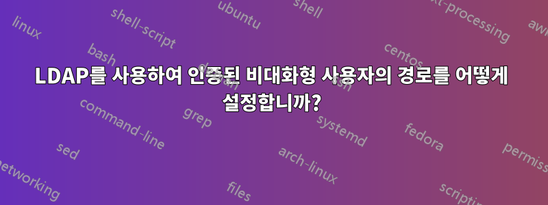 LDAP를 사용하여 인증된 비대화형 사용자의 경로를 어떻게 설정합니까?