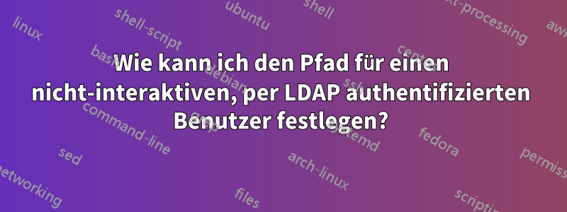 Wie kann ich den Pfad für einen nicht-interaktiven, per LDAP authentifizierten Benutzer festlegen?