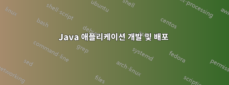 Java 애플리케이션 개발 및 배포