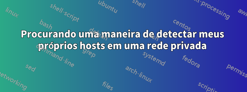 Procurando uma maneira de detectar meus próprios hosts em uma rede privada