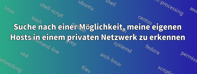 Suche nach einer Möglichkeit, meine eigenen Hosts in einem privaten Netzwerk zu erkennen