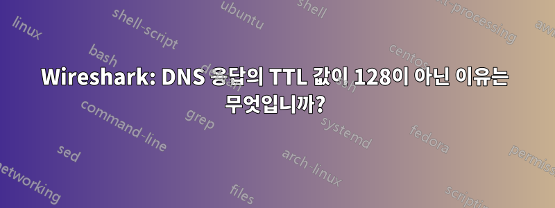 Wireshark: DNS 응답의 TTL 값이 128이 아닌 이유는 무엇입니까?