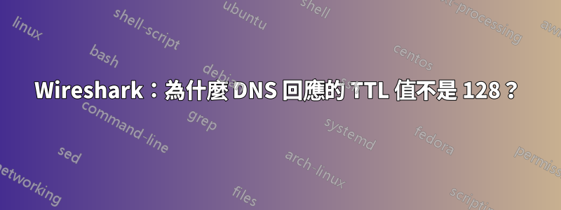 Wireshark：為什麼 DNS 回應的 TTL 值不是 128？