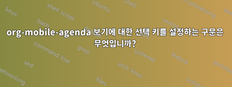 org-mobile-agenda 보기에 대한 선택 키를 설정하는 구문은 무엇입니까?