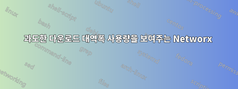 과도한 다운로드 대역폭 사용량을 보여주는 Networx