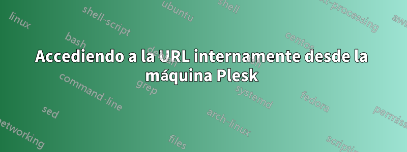 Accediendo a la URL internamente desde la máquina Plesk