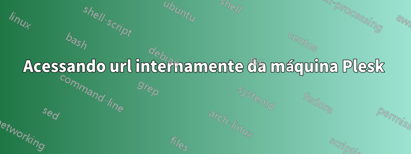 Acessando url internamente da máquina Plesk