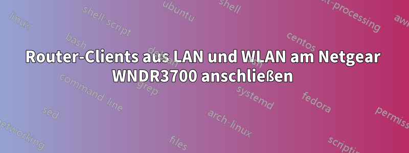 Router-Clients aus LAN und WLAN am Netgear WNDR3700 anschließen