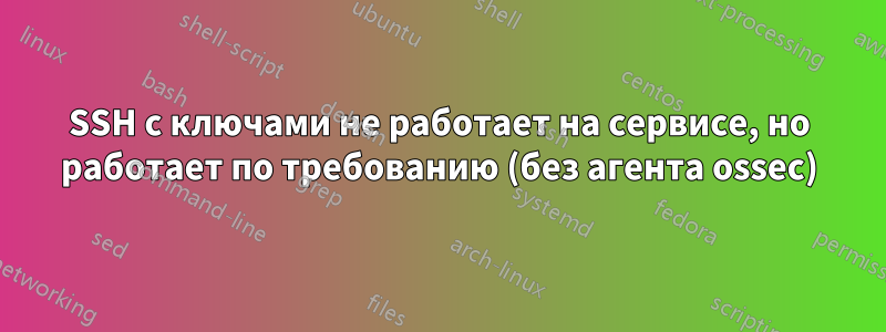 SSH с ключами не работает на сервисе, но работает по требованию (без агента ossec)