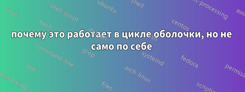 почему это работает в цикле оболочки, но не само по себе