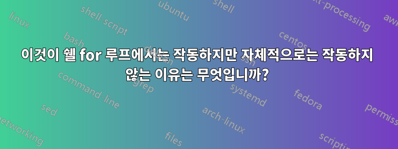 이것이 쉘 for 루프에서는 작동하지만 자체적으로는 작동하지 않는 이유는 무엇입니까?