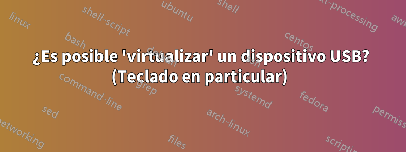 ¿Es posible 'virtualizar' un dispositivo USB? (Teclado en particular) 