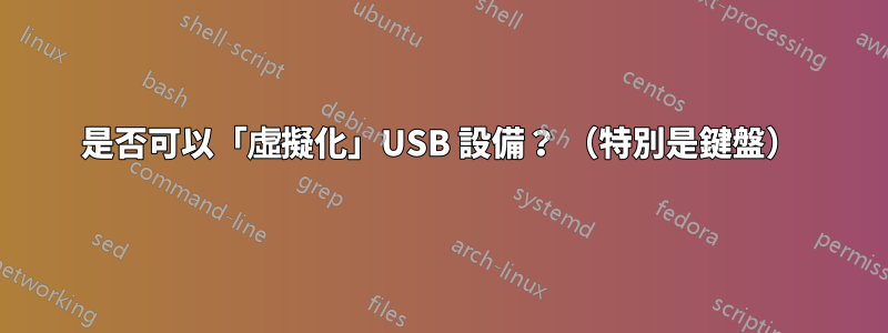 是否可以「虛擬化」USB 設備？ （特別是鍵盤）