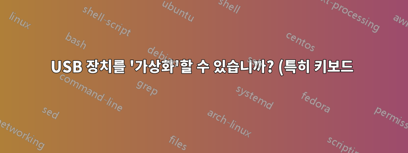 USB 장치를 '가상화'할 수 있습니까? (특히 키보드)
