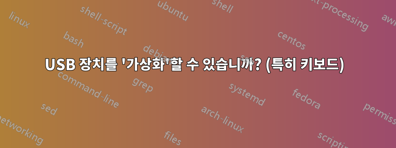 USB 장치를 '가상화'할 수 있습니까? (특히 키보드) 