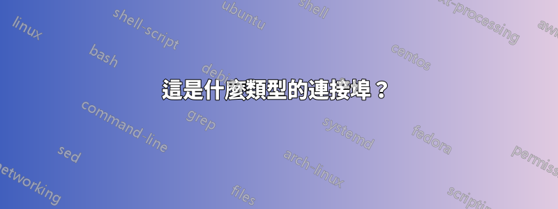 這是什麼類型的連接埠？