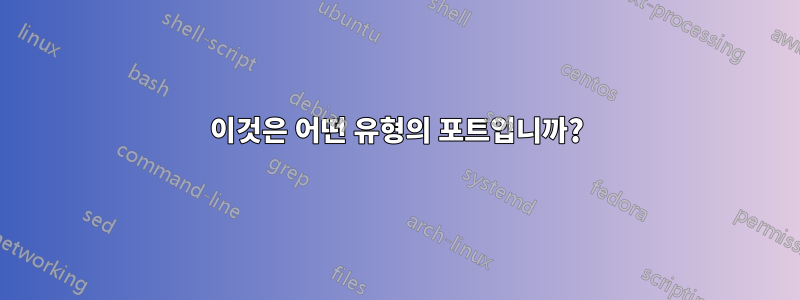 이것은 어떤 유형의 포트입니까?