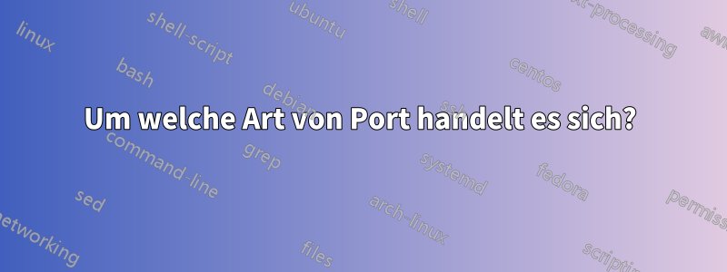 Um welche Art von Port handelt es sich?