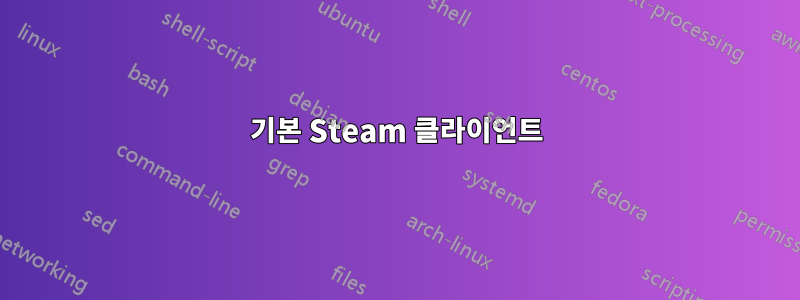 기본 Steam 클라이언트