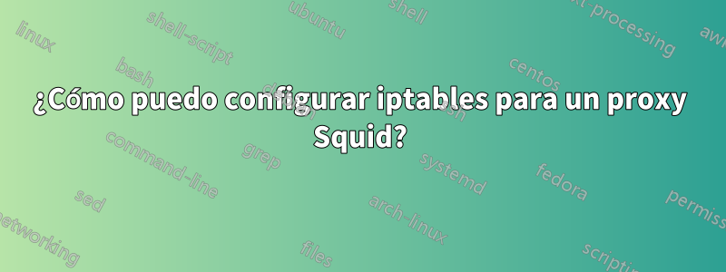 ¿Cómo puedo configurar iptables para un proxy Squid?