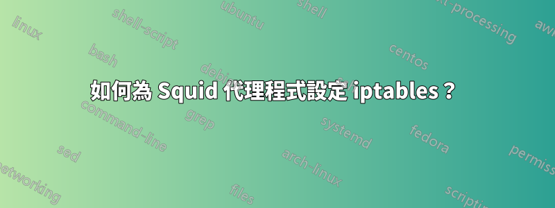 如何為 Squid 代理程式設定 iptables？