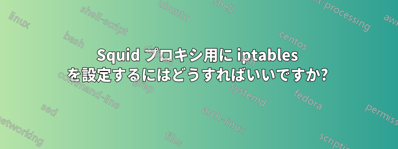 Squid プロキシ用に iptables を設定するにはどうすればいいですか?