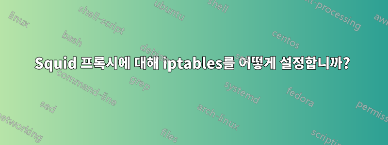 Squid 프록시에 대해 iptables를 어떻게 설정합니까?