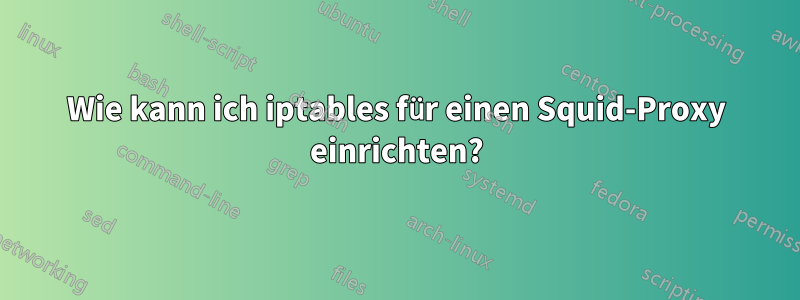 Wie kann ich iptables für einen Squid-Proxy einrichten?