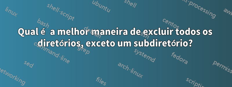 Qual é a melhor maneira de excluir todos os diretórios, exceto um subdiretório?