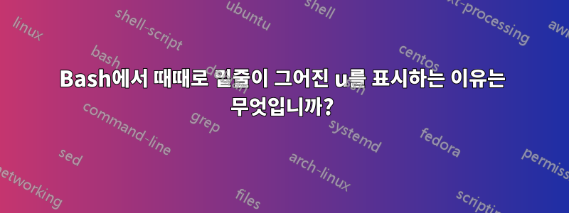 Bash에서 때때로 밑줄이 그어진 u를 표시하는 이유는 무엇입니까?