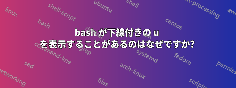 bash が下線付きの u を表示することがあるのはなぜですか?