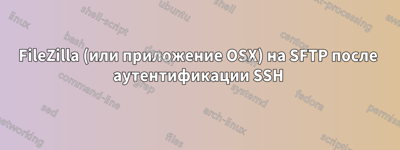 FileZilla (или приложение OSX) на SFTP после аутентификации SSH