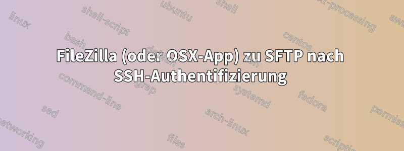 FileZilla (oder OSX-App) zu SFTP nach SSH-Authentifizierung